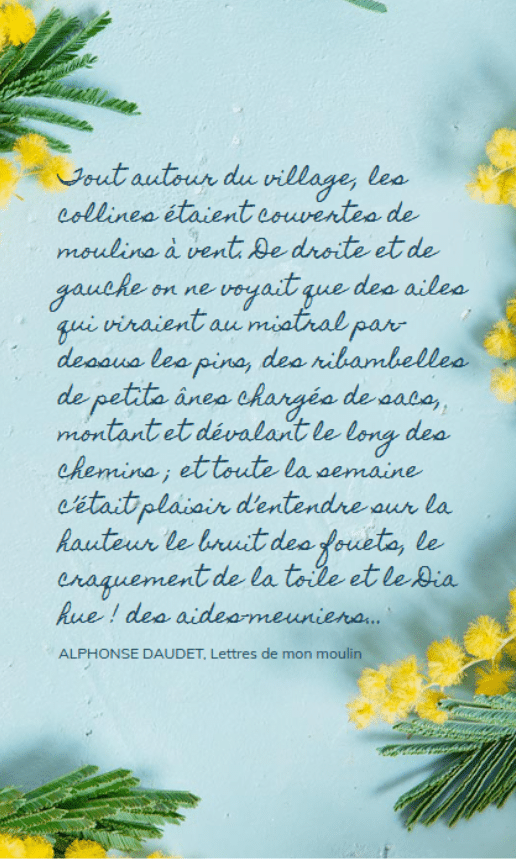 Nos valeurs