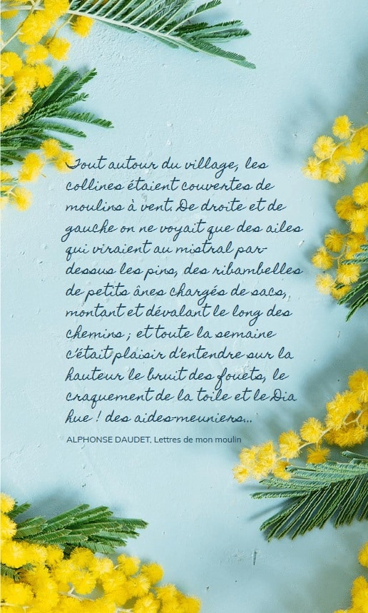 Notre-projet